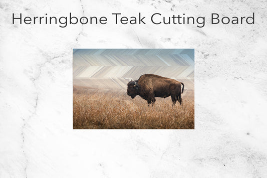 American Bison