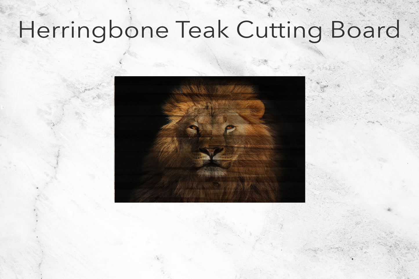 Lion Headshot