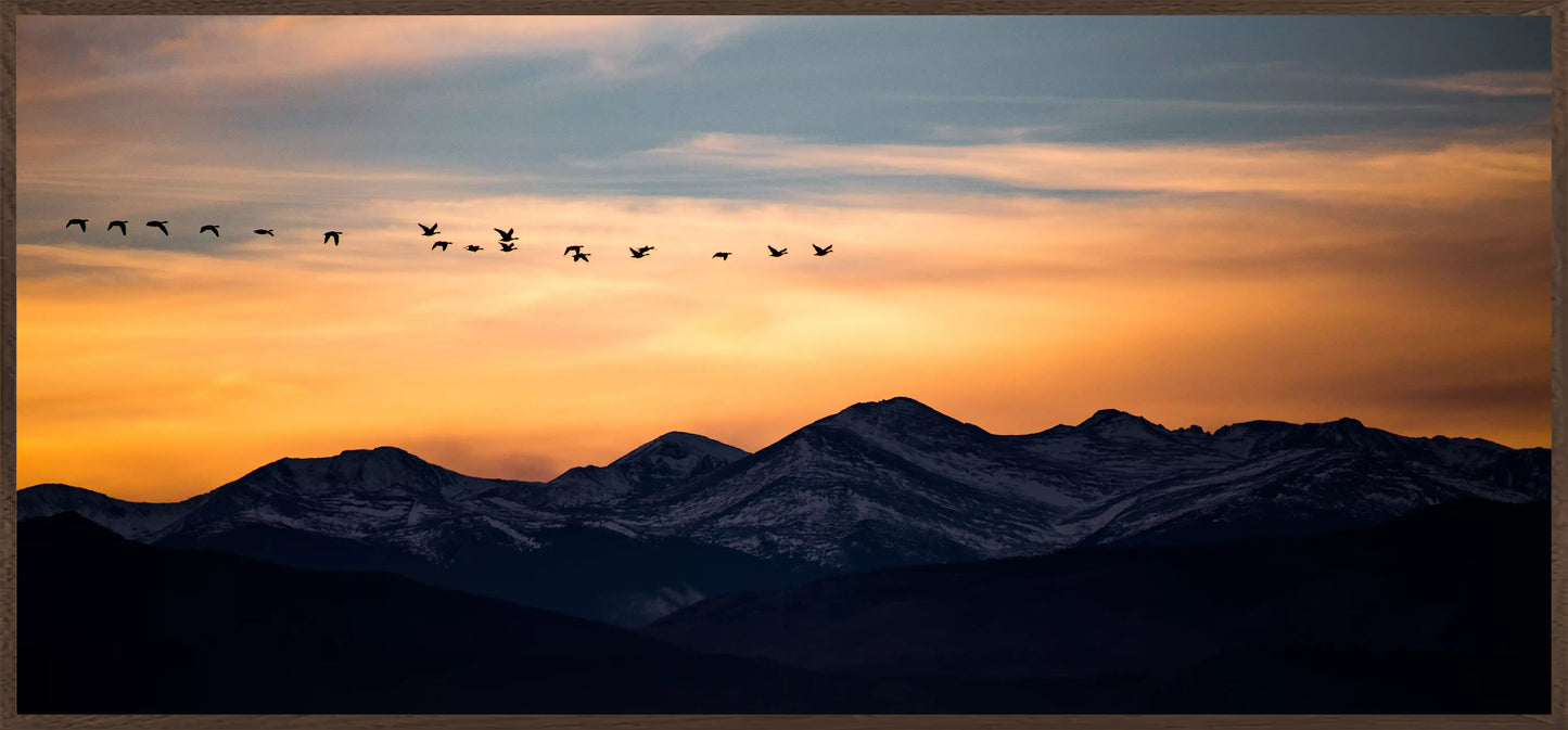 Wings Over Peaks