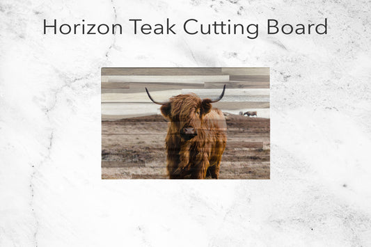 Highland Cow