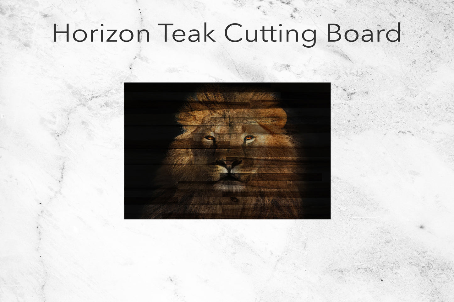 Lion Headshot