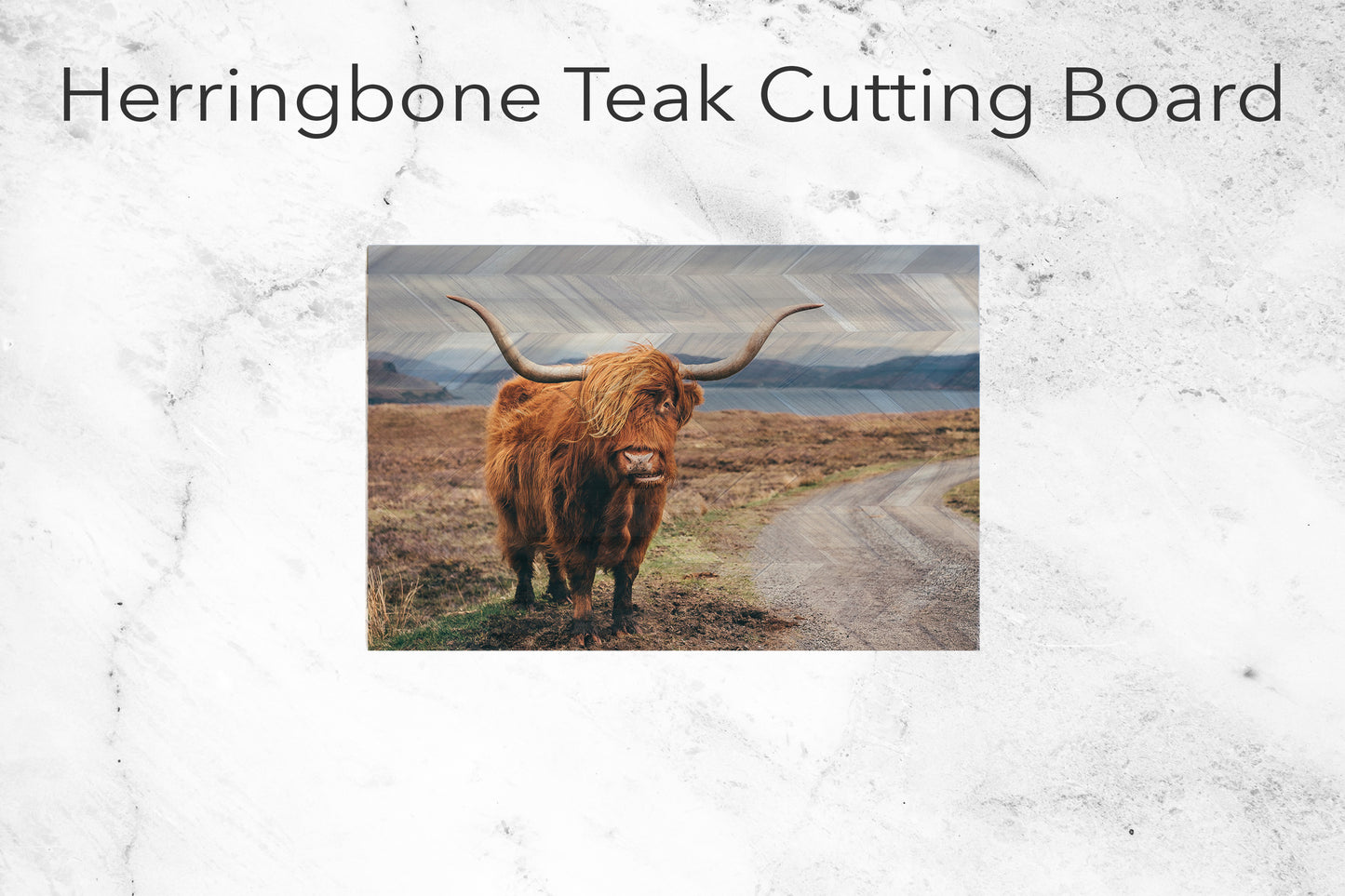 Hairy Scottish Yak Print