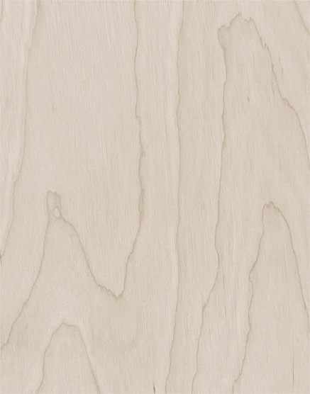 Birch with Live Edge