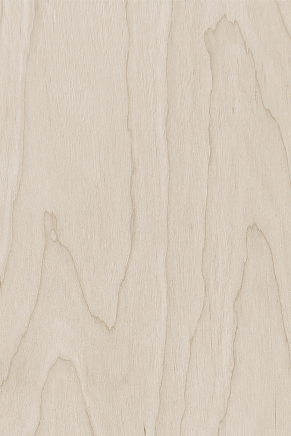 Birch with Live Edge