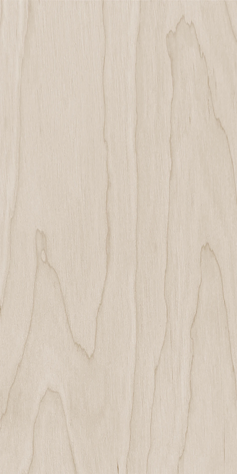 Birch with Live Edge