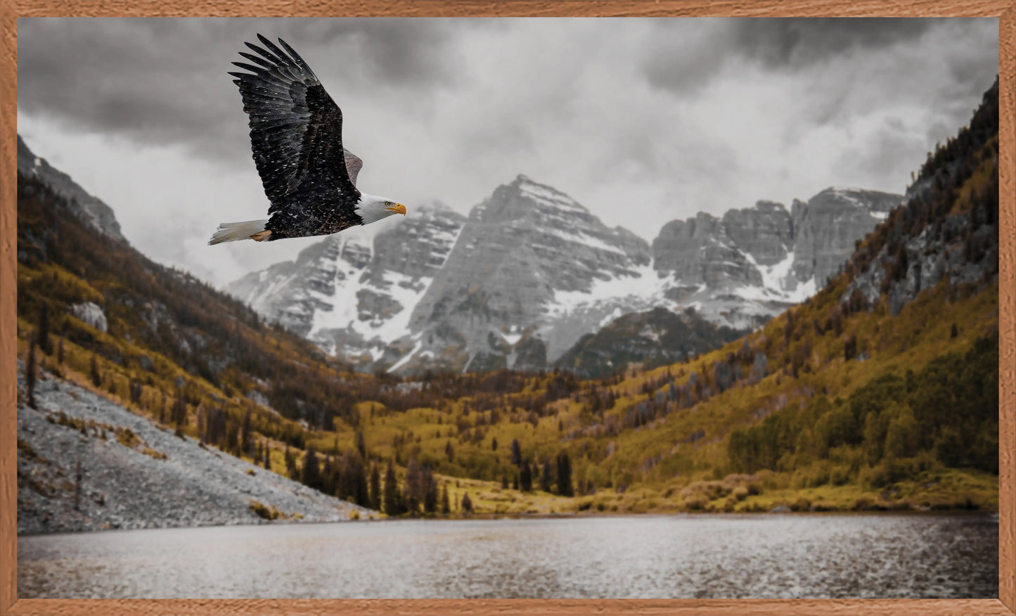 Flighted Freedom at The Bells