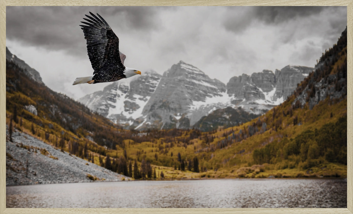 Flighted Freedom at The Bells