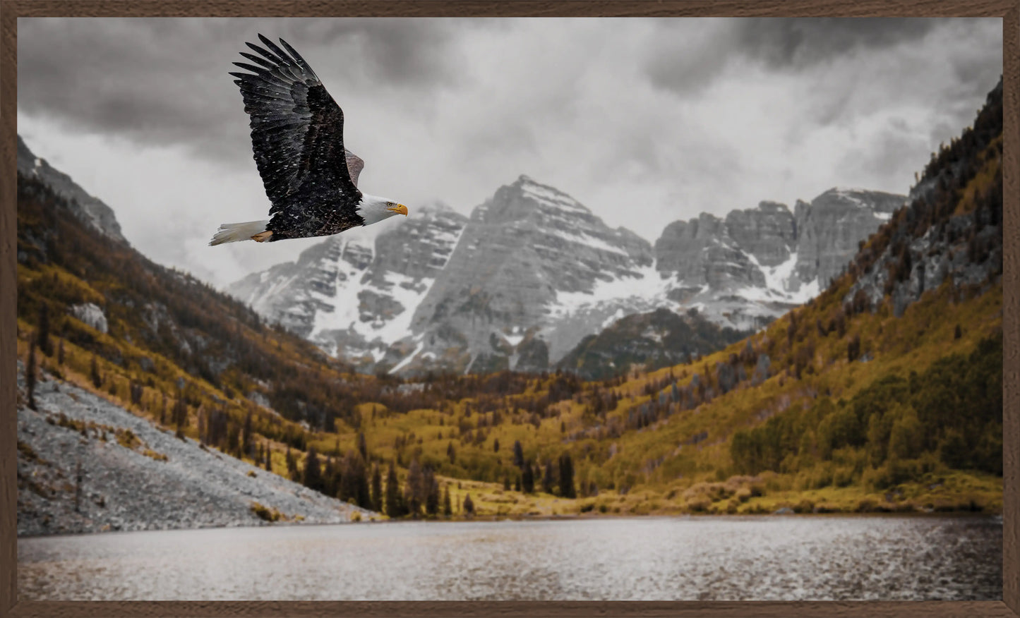 Flighted Freedom at The Bells