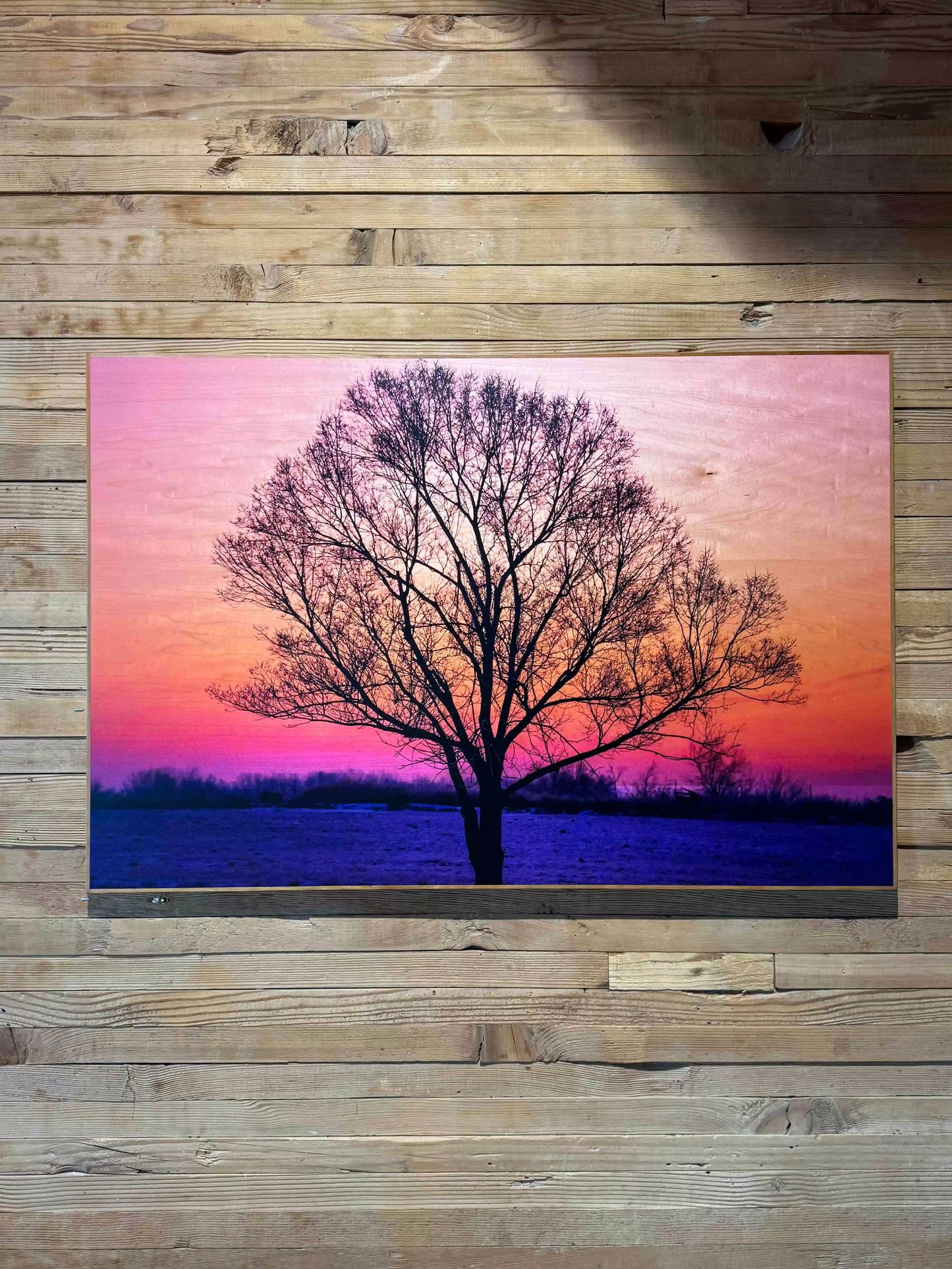 Pink Sunrise