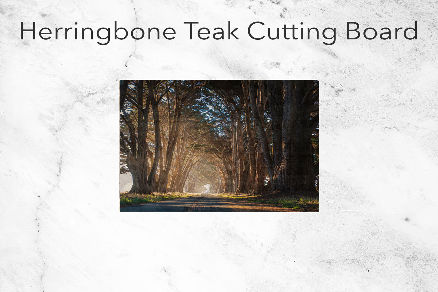 Cypress Tree Tunnel Lightview I