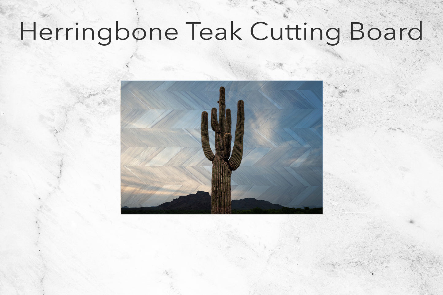 Saguaro Standing Tall