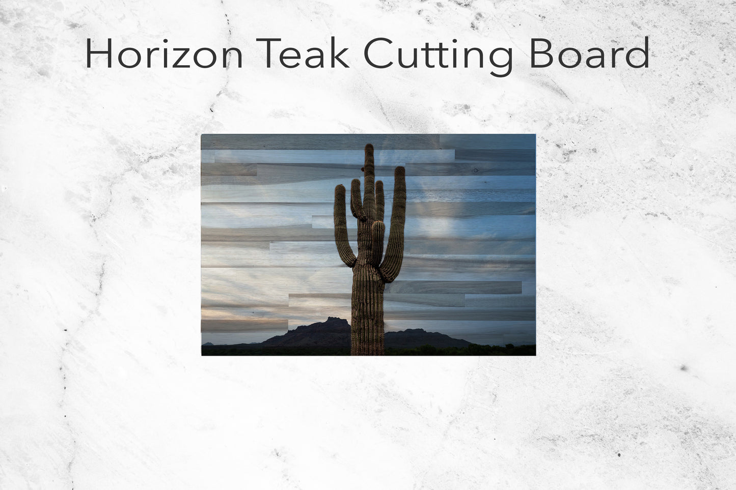 Saguaro Standing Tall