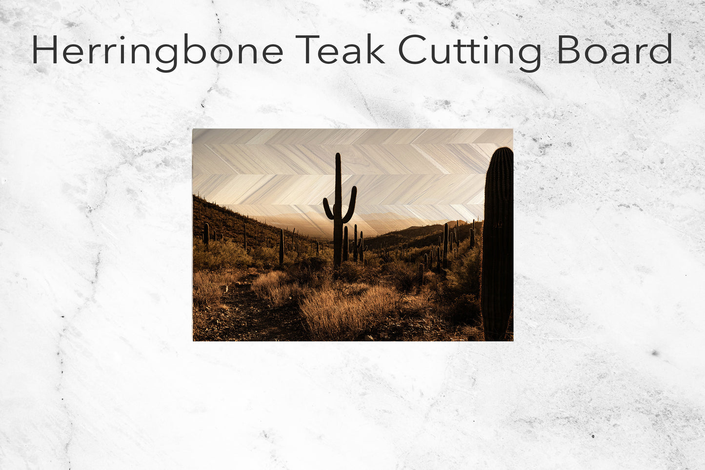 Silhouetted Saguaro Cactus