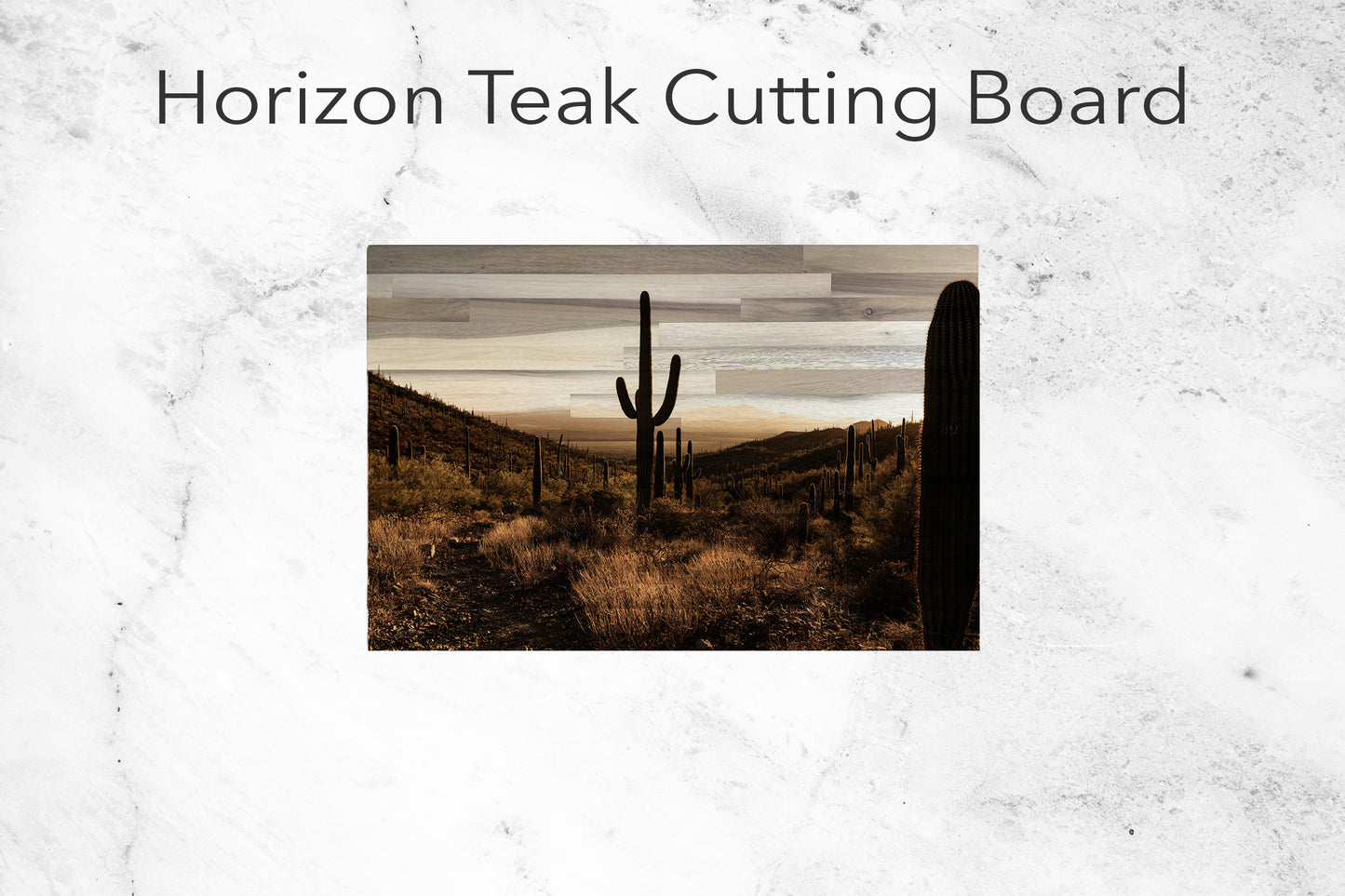 Silhouetted Saguaro Cactus