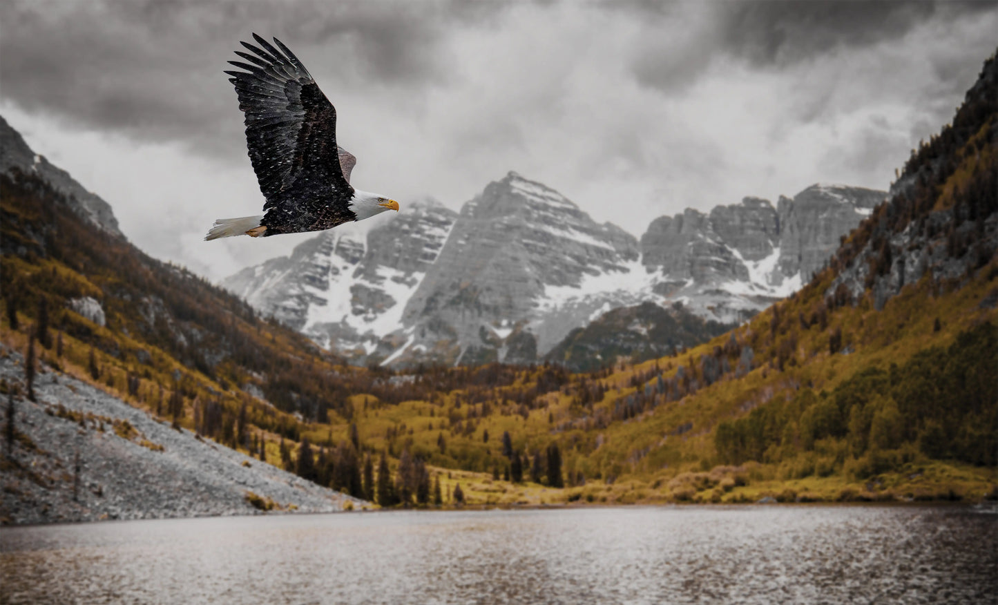 Flighted Freedom at The Bells