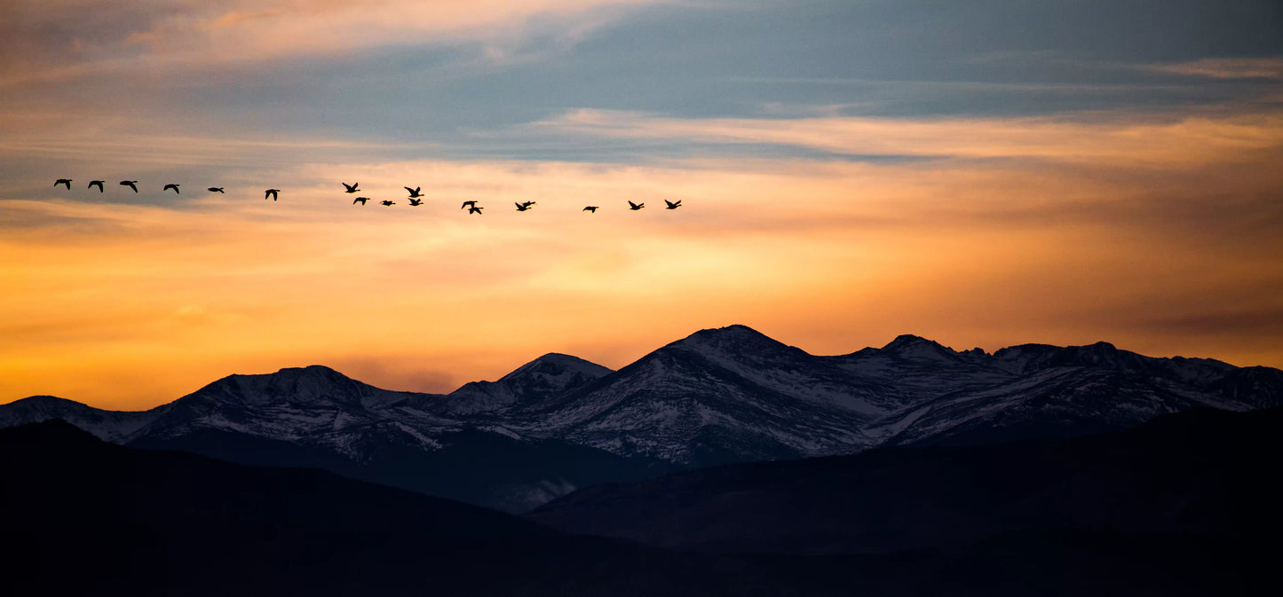 Wings Over Peaks