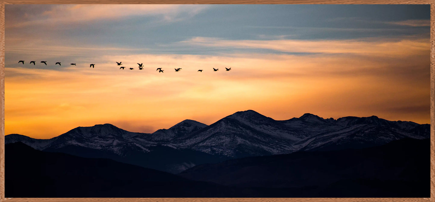 Wings Over Peaks