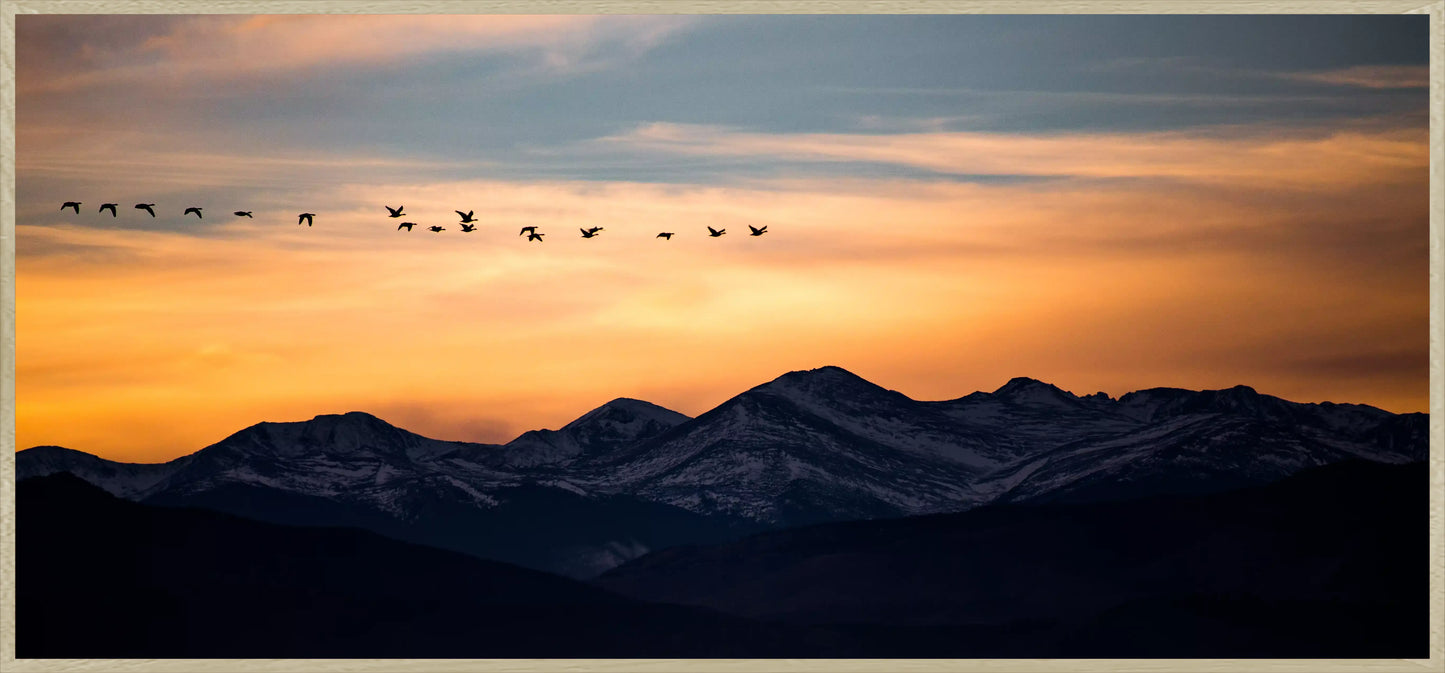Wings Over Peaks